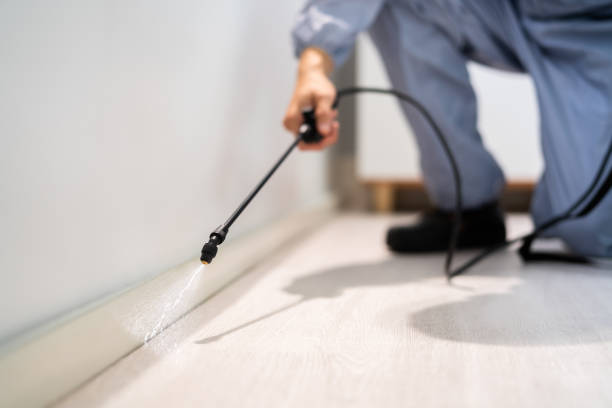 Licensed Pest Control service in Somerville, TX - Show Me Pest Control